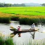 Tuyệt Phẩm Quê Hương (Song Ca)