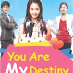 You Are My Destiny OST